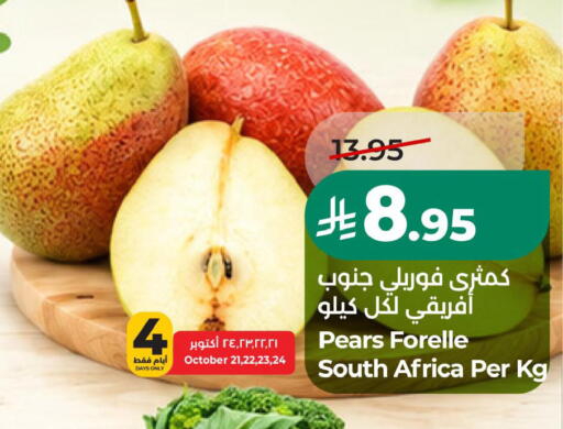 من South Africa متوفر لدى لولو هايبرماركت في مملكة العربية السعودية, السعودية, سعودية - الجبيل‎