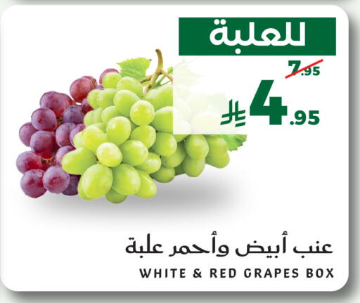 Grapes متوفر لدى ميرا مارت مول في مملكة العربية السعودية, السعودية, سعودية - جدة