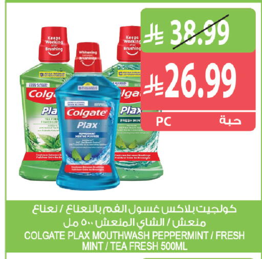 Mint متوفر لدى المزرعة في مملكة العربية السعودية, السعودية, سعودية - ينبع