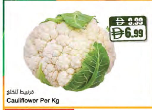 Cauliflower متوفر لدى المايا سوبرماركت في الإمارات العربية المتحدة , الامارات - الشارقة / عجمان