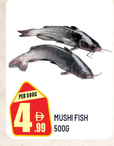 available at دريم لاند in الإمارات العربية المتحدة , الامارات - الشارقة / عجمان