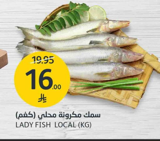 available at AlJazera Shopping Center in KSA, Saudi Arabia, Saudi - Riyadh