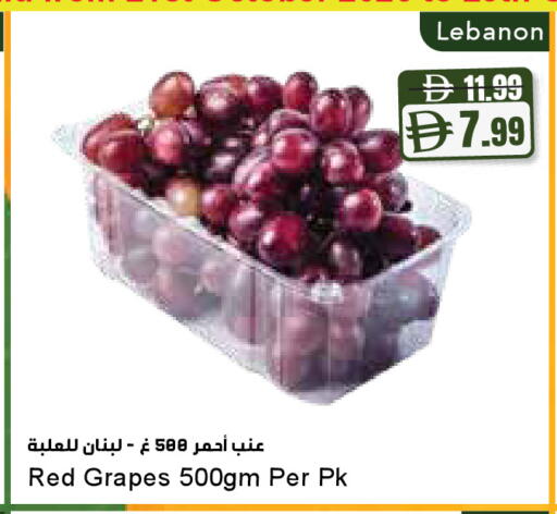 Grapes from Lebanon available at Almaya Supermarkets in UAE - Dubai