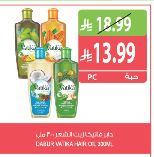 Coconut متوفر لدى المزرعة في مملكة العربية السعودية, السعودية, سعودية - تبوك