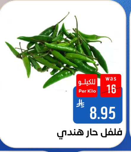 متوفر لدى شبرا الطائف في مملكة العربية السعودية, السعودية, سعودية - مكة المكرمة
