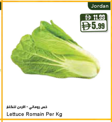 Lettuce من Jordan متوفر لدى المايا سوبرماركت في الإمارات العربية المتحدة , الامارات - دبي