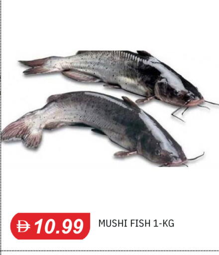 available at TALAL MARKET in UAE - Sharjah / Ajman