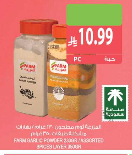 Garlic available at Farm  in KSA, Saudi Arabia, Saudi - Sakaka