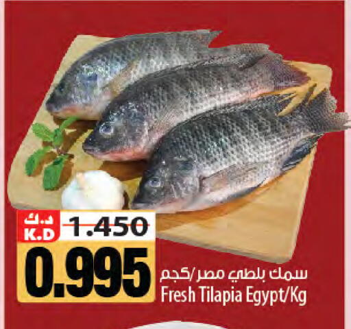 Mango متوفر لدى مانجو هايبرماركت في الكويت - مدينة الكويت