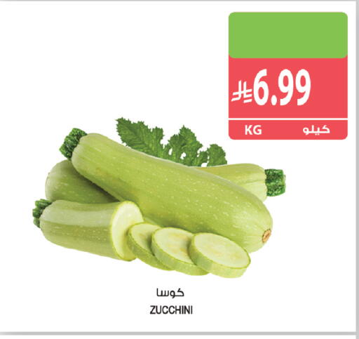 Zucchini متوفر لدى المزرعة في مملكة العربية السعودية, السعودية, سعودية - عرعر
