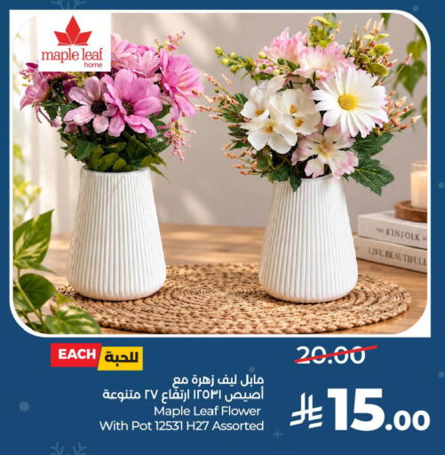 available at LULU Hypermarket in KSA, Saudi Arabia, Saudi - Dammam