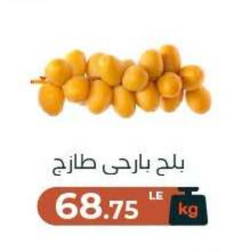 متوفر لدى عرفة ماركت في البحرين
