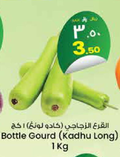 متوفر لدى ستي فلاور في مملكة العربية السعودية, السعودية, سعودية - حائل‎