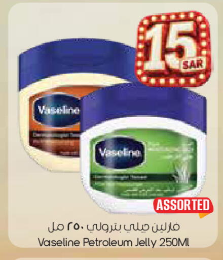 available at City Flower in KSA, Saudi Arabia, Saudi - Sakaka