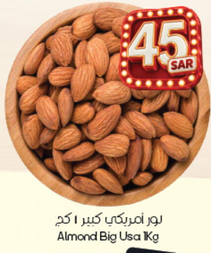 متوفر لدى ستي فلاور في مملكة العربية السعودية, السعودية, سعودية - أبها