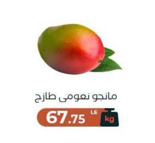 متوفر لدى عرفة ماركت في البحرين