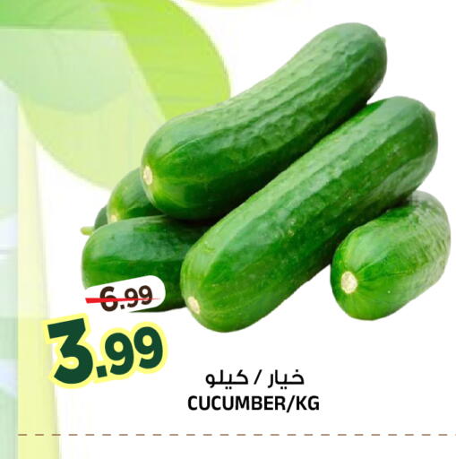 Cucumber متوفر لدى المدينة هايبرماركت في مملكة العربية السعودية, السعودية, سعودية - الرياض