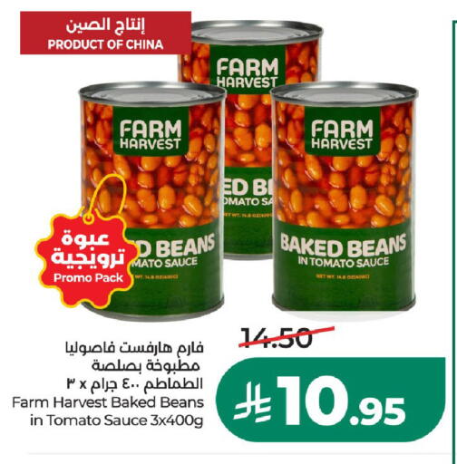 Tomato available at LULU Hypermarket in KSA, Saudi Arabia, Saudi - Al-Kharj