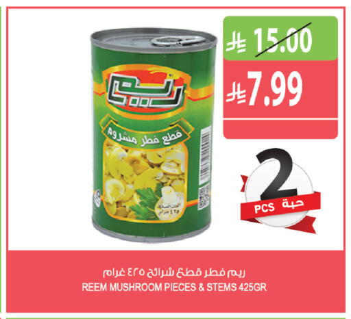 Mushroom متوفر لدى المزرعة في مملكة العربية السعودية, السعودية, سعودية - نجران