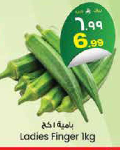 available at City Flower in KSA, Saudi Arabia, Saudi - Jubail