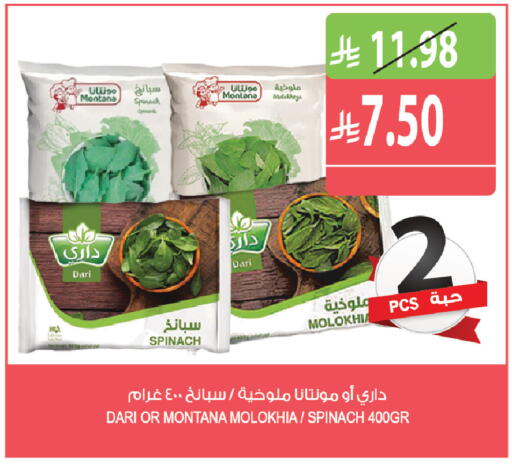 Spinach available at Farm  in KSA, Saudi Arabia, Saudi - Tabuk