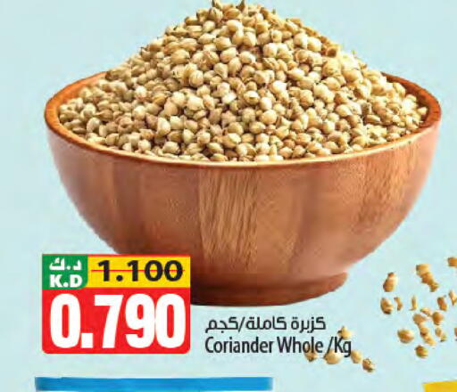 Mango Coriander متوفر لدى مانجو هايبرماركت في الكويت - محافظة الجهراء