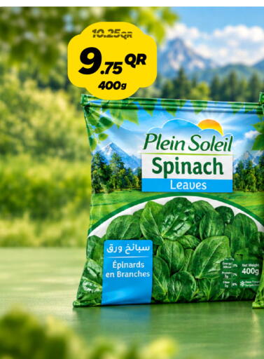 Spinach متوفر لدى سنومارت في قطر - الوكرة