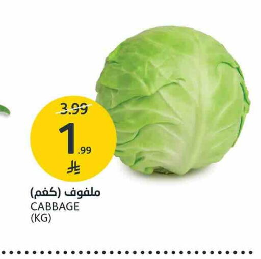 Cabbage available at AlJazera Shopping Center in KSA, Saudi Arabia, Saudi - Riyadh