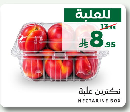 Nectarine متوفر لدى ميرا مارت مول في مملكة العربية السعودية, السعودية, سعودية - جدة