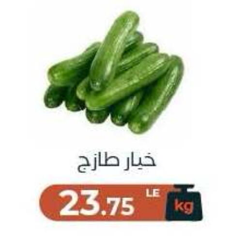 متوفر لدى عرفة ماركت في Egypt - القاهرة