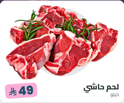 available at Tmoon Dammam in KSA, Saudi Arabia, Saudi - Dammam