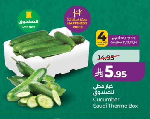 Cucumber from Saudi Arabia available at LULU Hypermarket in KSA, Saudi Arabia, Saudi - Mecca