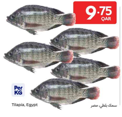 متوفر لدى كارفور في قطر - الوكرة