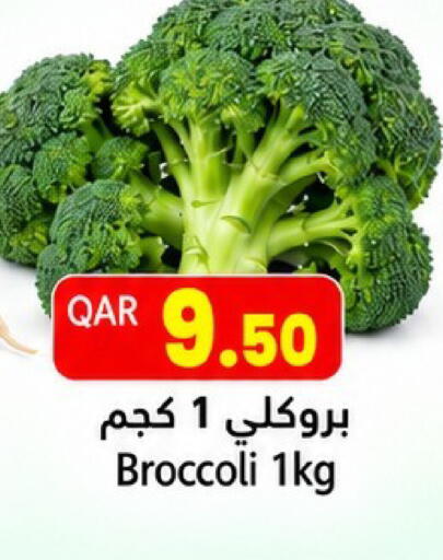Broccoli متوفر لدى جلف فود سنتر في قطر - الوكرة
