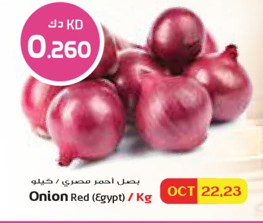 Onion from Egypt available at Grand Costo in Kuwait - Kuwait City