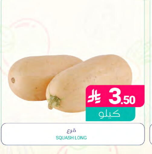 Squash available at Muntazah Markets in KSA, Saudi Arabia, Saudi - Saihat