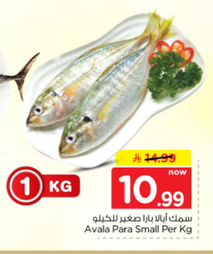 متوفر لدى نستو في مملكة العربية السعودية, السعودية, سعودية - الرياض