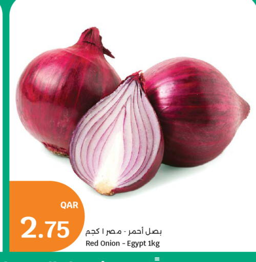 Onion from Egypt available at City Hypermarket in Qatar - Al Rayyan