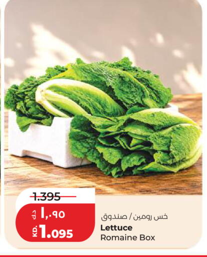 Lettuce available at Lulu Hypermarket  in Kuwait - Ahmadi Governorate
