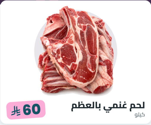 available at Tmoon Dammam in KSA, Saudi Arabia, Saudi - Dammam
