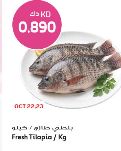 متوفر لدى جراند هايبر في الكويت - محافظة الجهراء