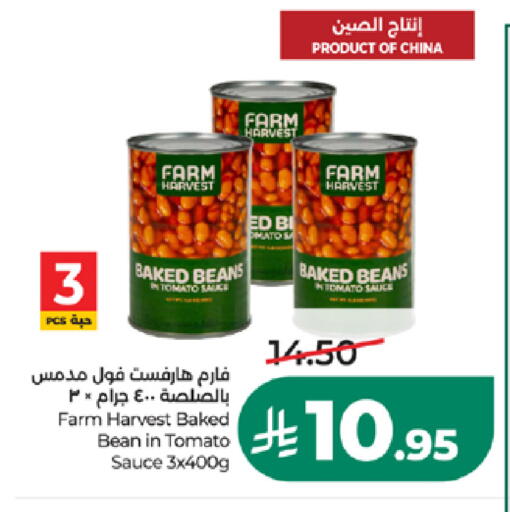 Tomato available at LULU Hypermarket in KSA, Saudi Arabia, Saudi - Khamis Mushait