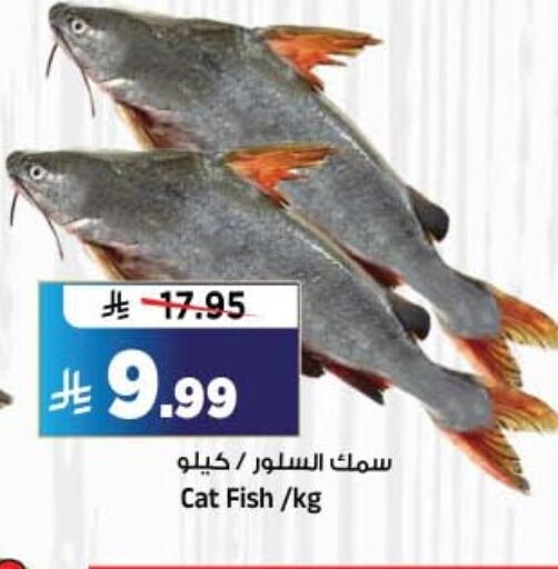 متوفر لدى المدينة هايبرماركت في مملكة العربية السعودية, السعودية, سعودية - الرياض