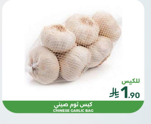 Garlic من China متوفر لدى  مـزايــا في مملكة العربية السعودية, السعودية, سعودية - سيهات