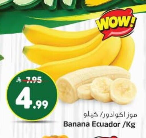Banana from Ecuador available at Al Madina Hypermarket in KSA, Saudi Arabia, Saudi - Riyadh