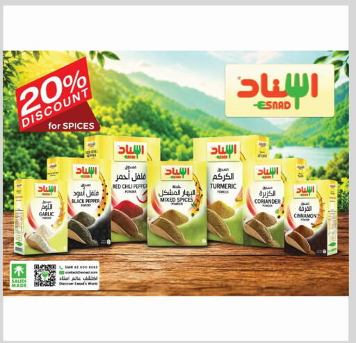 Chili Pepper Pepper Garlic Turmeric Coriander Cinnamon متوفر لدى الدانوب في مملكة العربية السعودية, السعودية, سعودية - المدينة المنورة