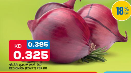 Onion from Egypt available at Oncost in Kuwait - Kuwait City