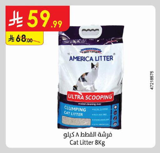 available at Danube in KSA, Saudi Arabia, Saudi - Medina