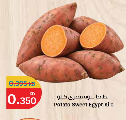 Potato from Egypt available at City Hypermarket in Kuwait - Kuwait City