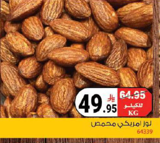 available at House Care in KSA, Saudi Arabia, Saudi - Mecca